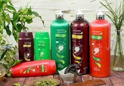 Các loại dầu gội