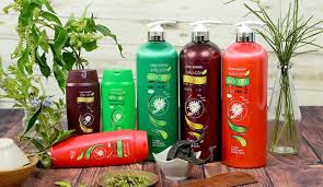 Các loại dầu gội